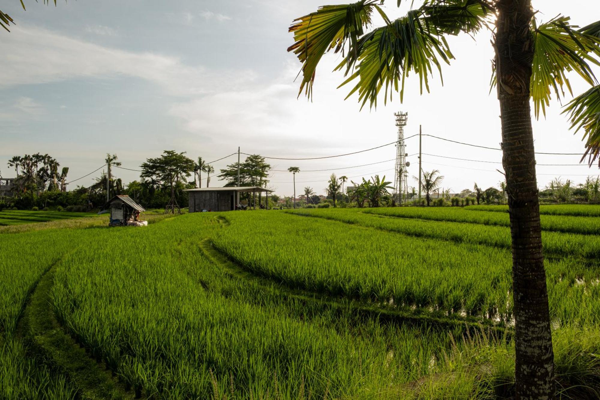 Padi Villas By Aayan Canggu  Exterior photo